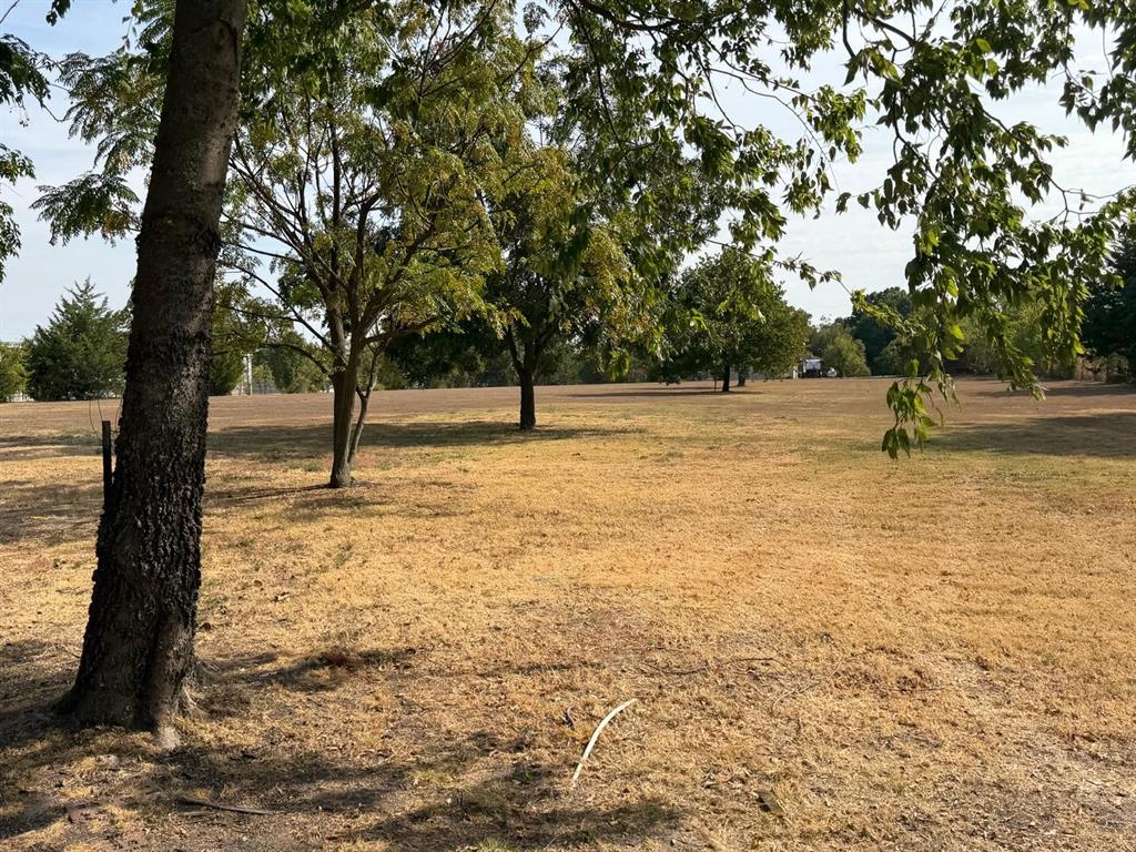 Expansive land parcel featuring mature trees and open areas