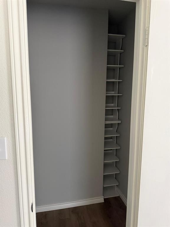 Closet with built-in shelving, wood-finish flooring, and crisp white trim