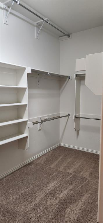 Master Bedroom Closet View 2