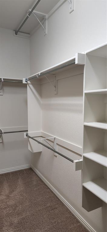 Master Bedroom Closet View 1