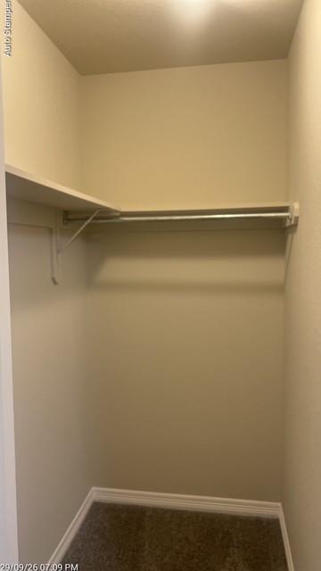 Walk-in closet featuring an integrated shelf, hanging rod, and carpet flooring