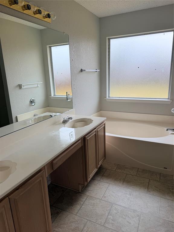 Dual vanity with integrated sinks, built-in cabinetry, and surface-mount lighting