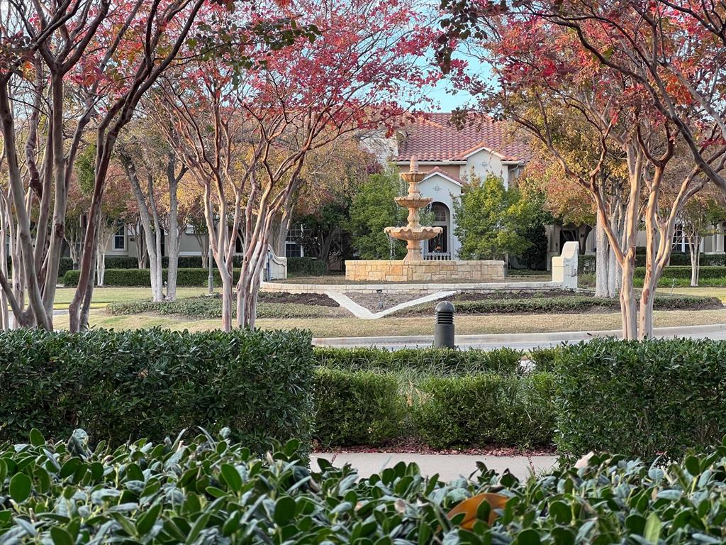 436 Fuente, Irving, TX 75039 436 Fuente, Irving, TX 75039