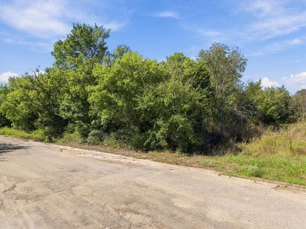 Mature trees overlook this stunning almost 8 acres