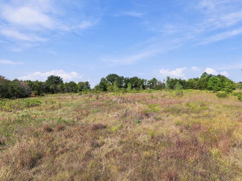 Gorgeous tree lined acreage provides privacy for your acreage
