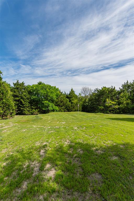 Expansive grassy area with lush perimeter trees Expansive grassy area with lush perimeter trees