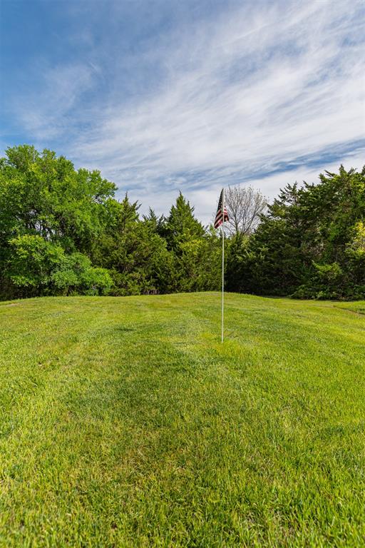 Expansive manicured lawn with lush green turf and mature tree line backdrop