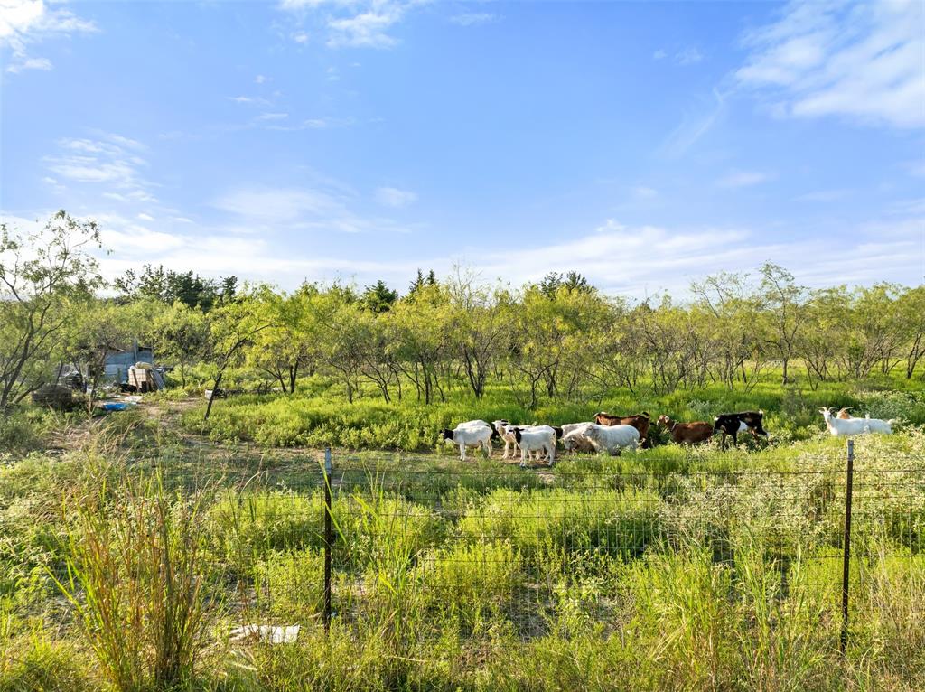 TBA I-30 Frontage Road, Caddo Mills, TX 75135