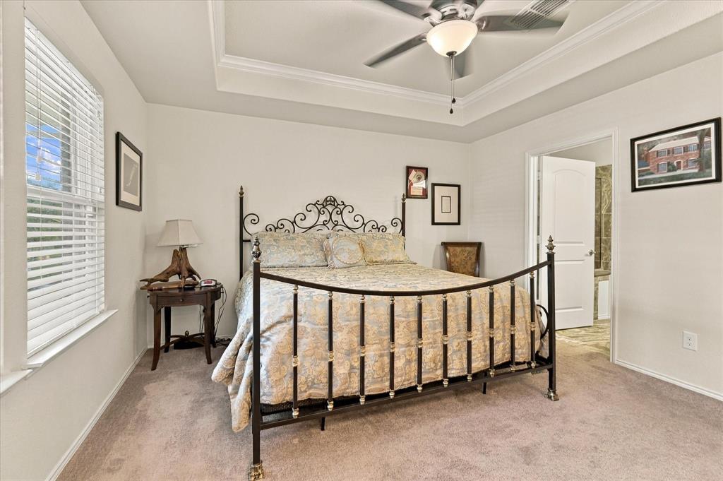 Tray ceiling featuring a central brushed-nickel ceiling fan with integrated lighting, neutral wall-to-wall carpeting, and horizontal window blinds