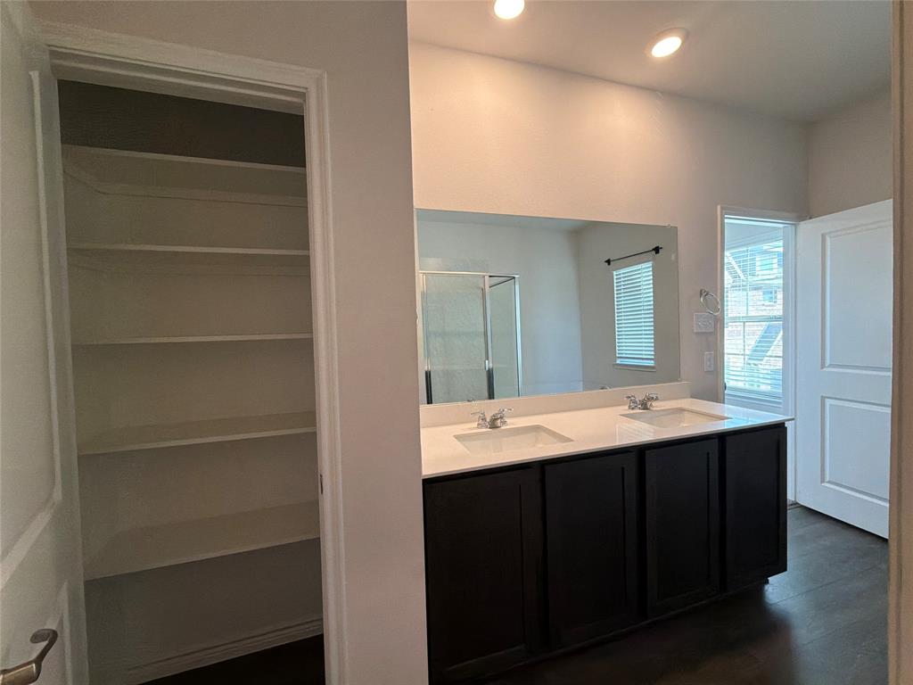 Dual vanity with a stone countertop, dark-finish cabinetry, recessed ceiling lighting, and a built-in walk-in storage closet