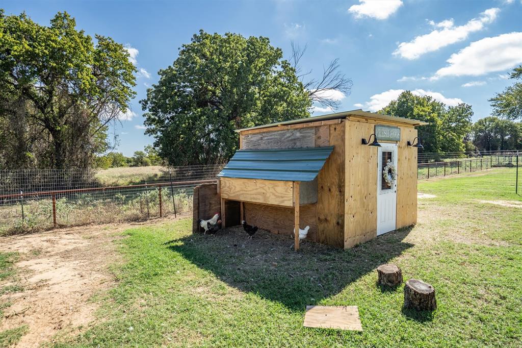 Chicken Coop