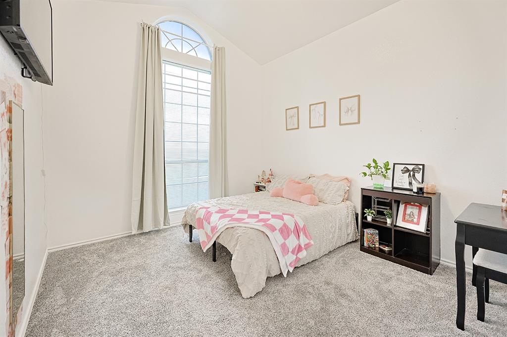 Vaulted ceiling featuring a tall, arched multi-pane window with neutral wall-to-wall carpeting