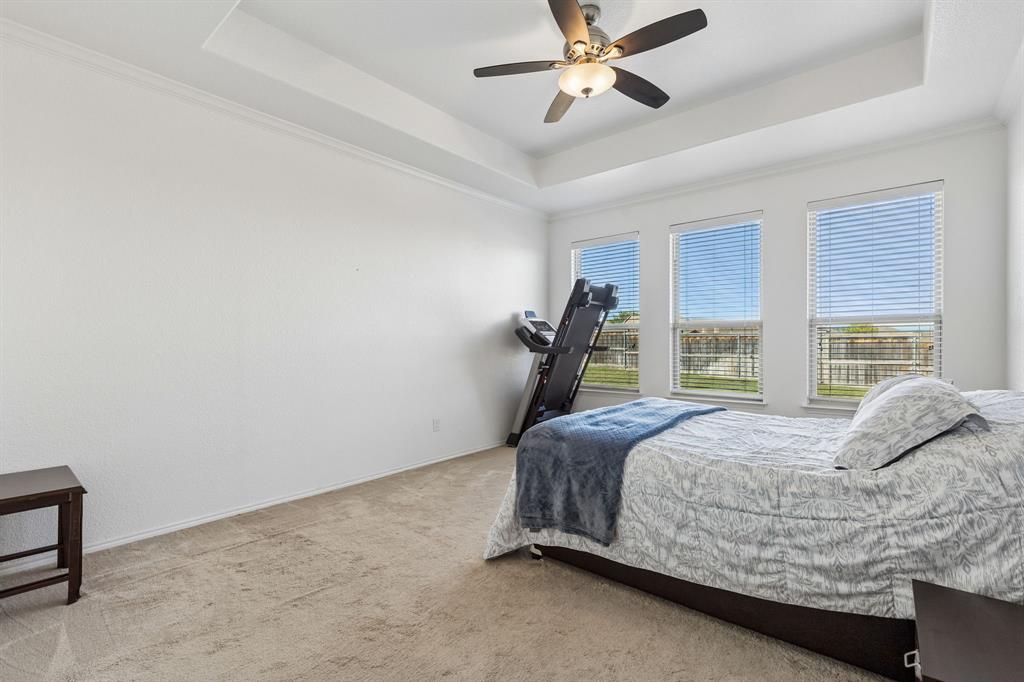 Tray ceiling with a ceiling fan, three windows, and neutral carpeting