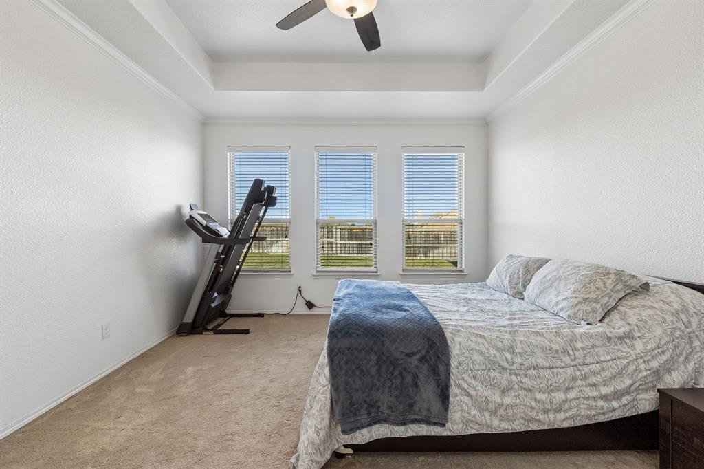 Tray ceiling with crown molding, ceiling fan, three windows with blinds, and carpeted flooring