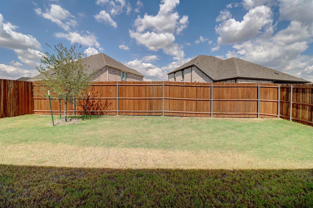 Expansive backyard featuring a wood fence and a young tree
