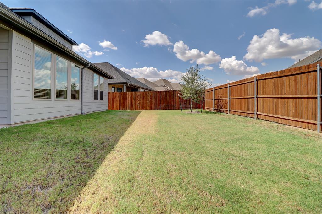 Expansive backyard featuring a privacy fence, established lawn, and a young tree