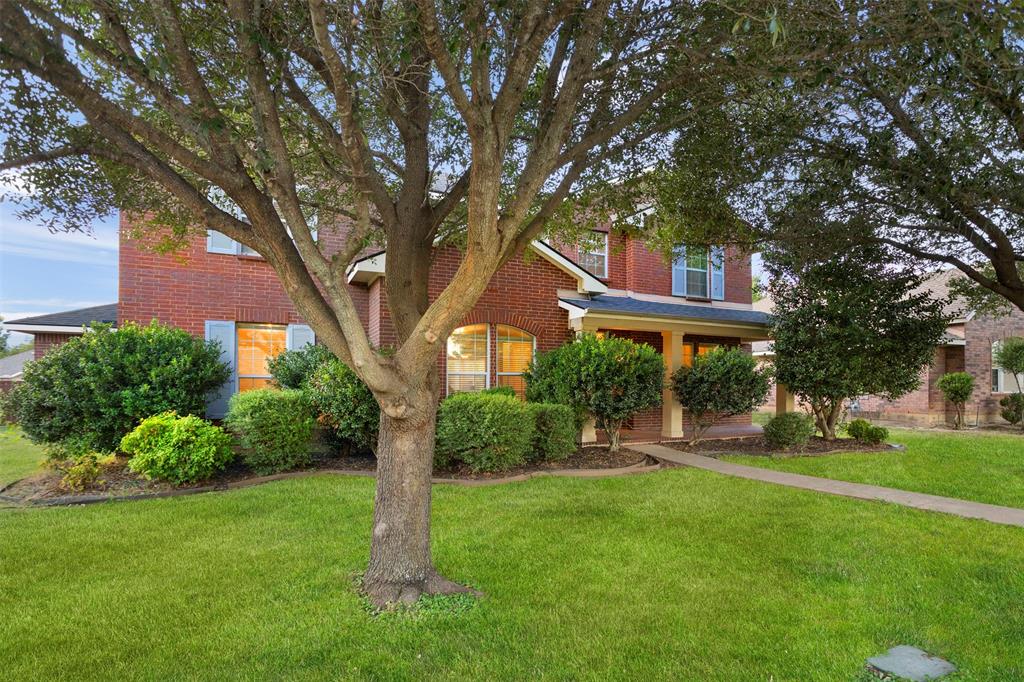 Majestic live oak trees out front