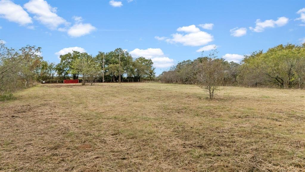 Expansive open lot featuring native grasses and perimeter mature trees