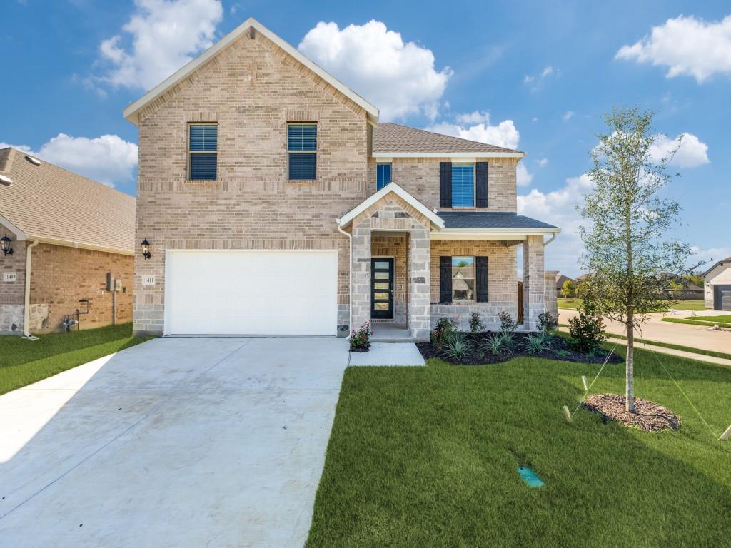 Front Yard & Driveway