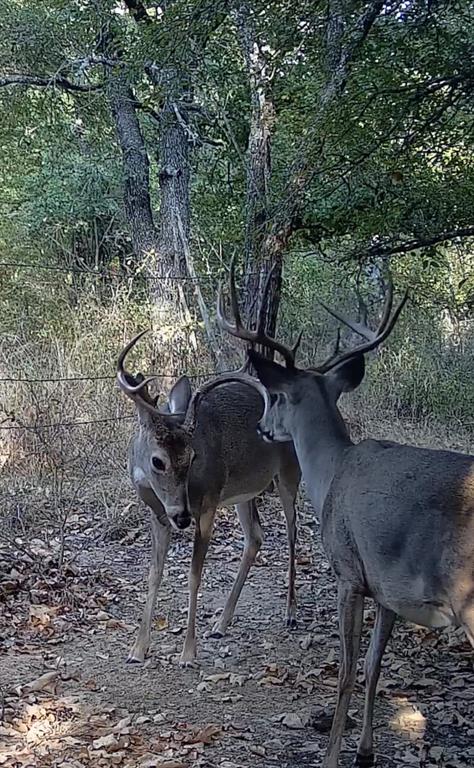 TBD County Road 182, Comanche, TX 76442