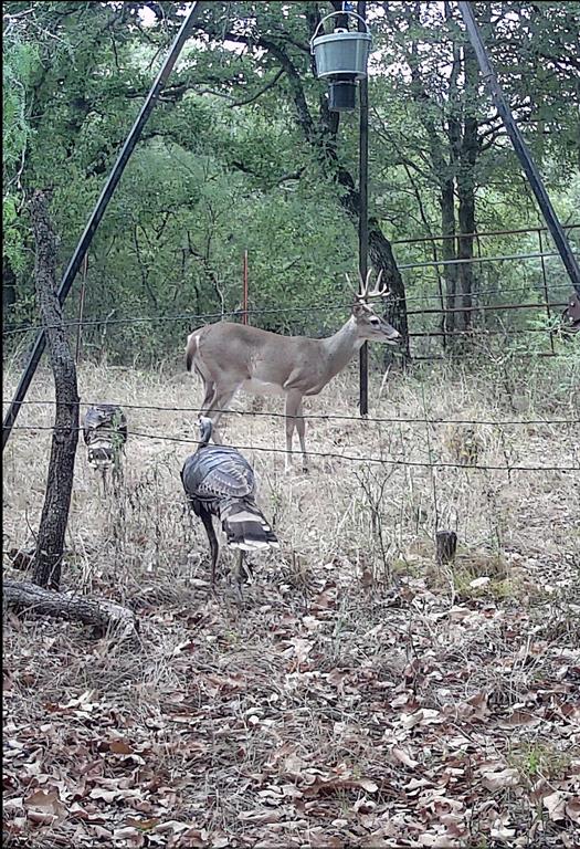TBD County Road 182, Comanche, TX 76442