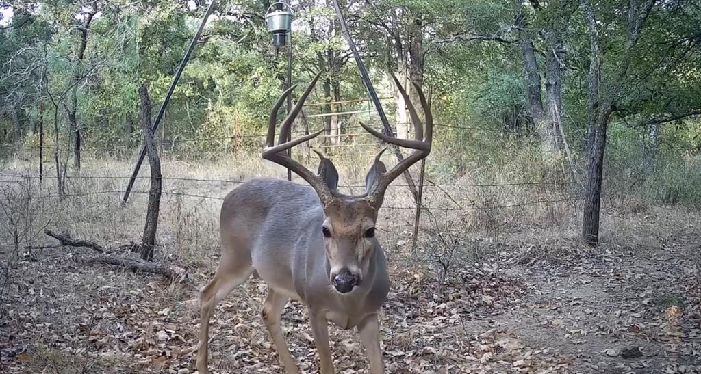TBD County Road 182, Comanche, TX 76442