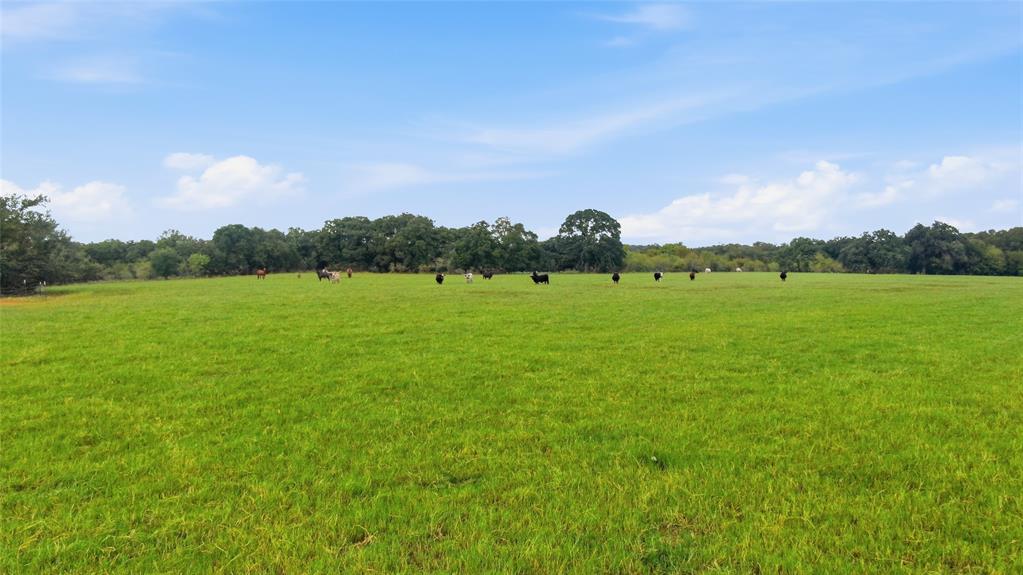TBD County Road 182, Comanche, TX 76442 TBD County Road 182, Comanche, TX 76442