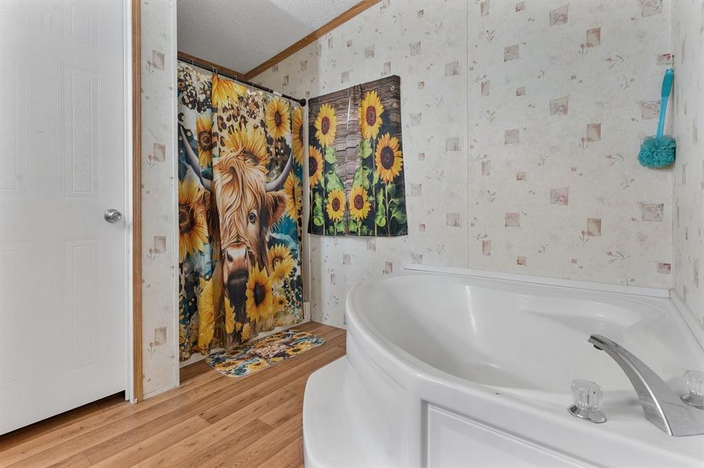 6210 Armadillo Drive, Kemp, TX 75143