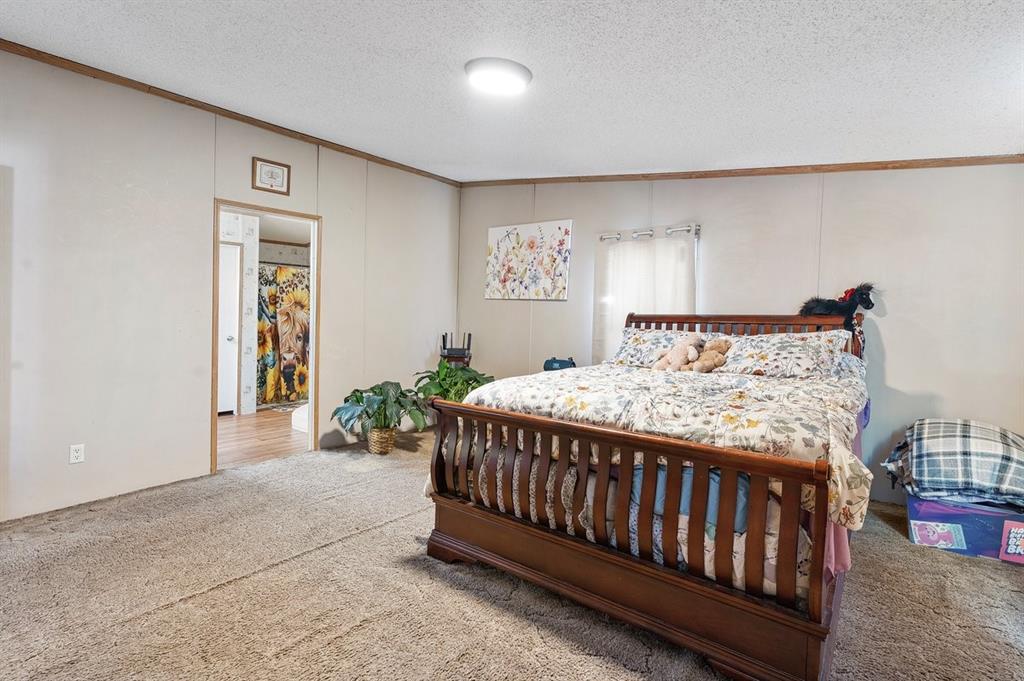 6210 Armadillo Drive, Kemp, TX 75143