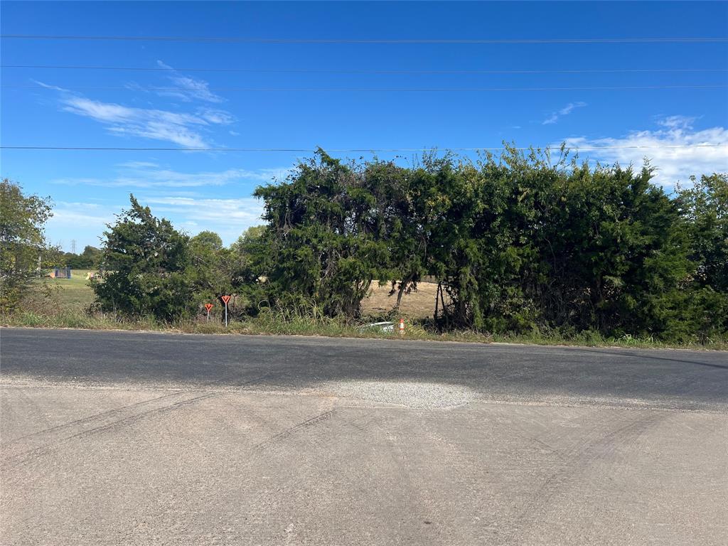 Expansive parcel featuring mature trees and established perimeter vegetation