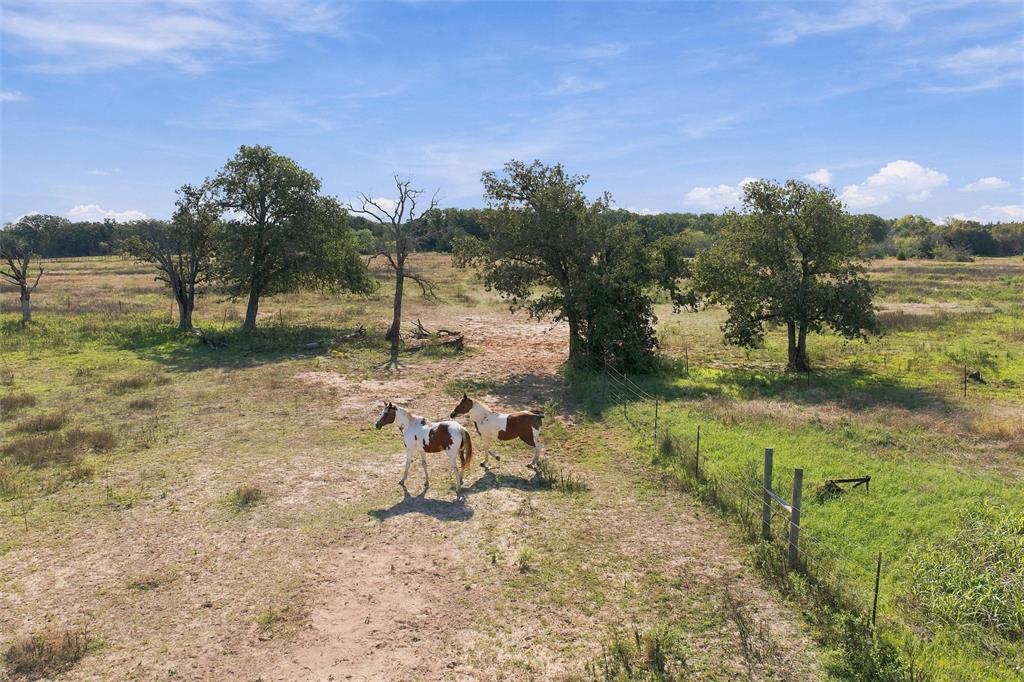 1654 Lincoln City Road, Elm Mott, TX 76640 1654 Lincoln City Road, Elm Mott, TX 76640