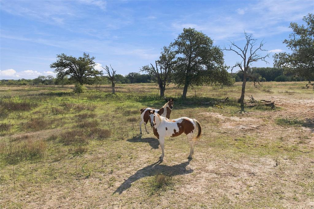 1654 Lincoln City Road, Elm Mott, TX 76640 1654 Lincoln City Road, Elm Mott, TX 76640