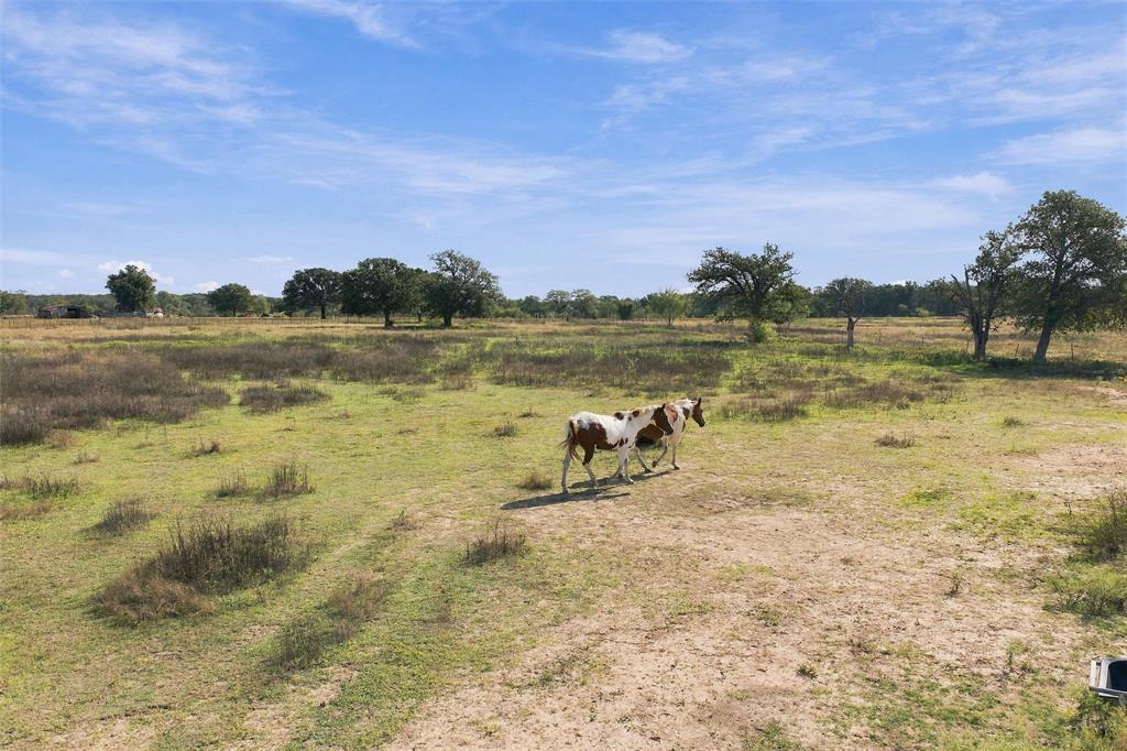 1654 Lincoln City Road, Elm Mott, TX 76640 1654 Lincoln City Road, Elm Mott, TX 76640