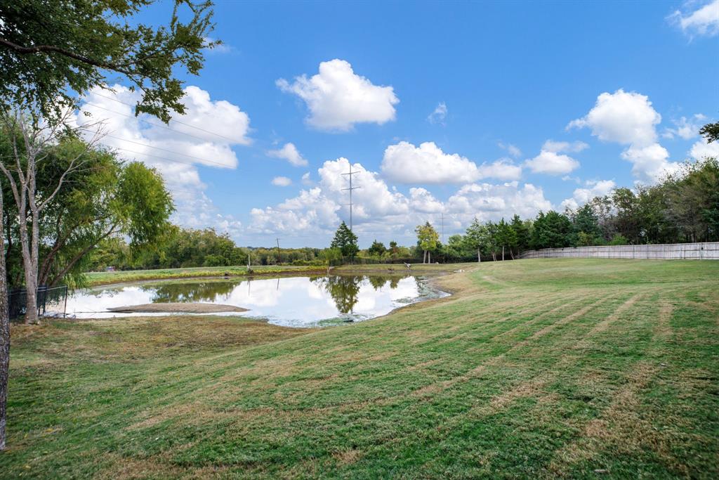 Enjoy the pond!