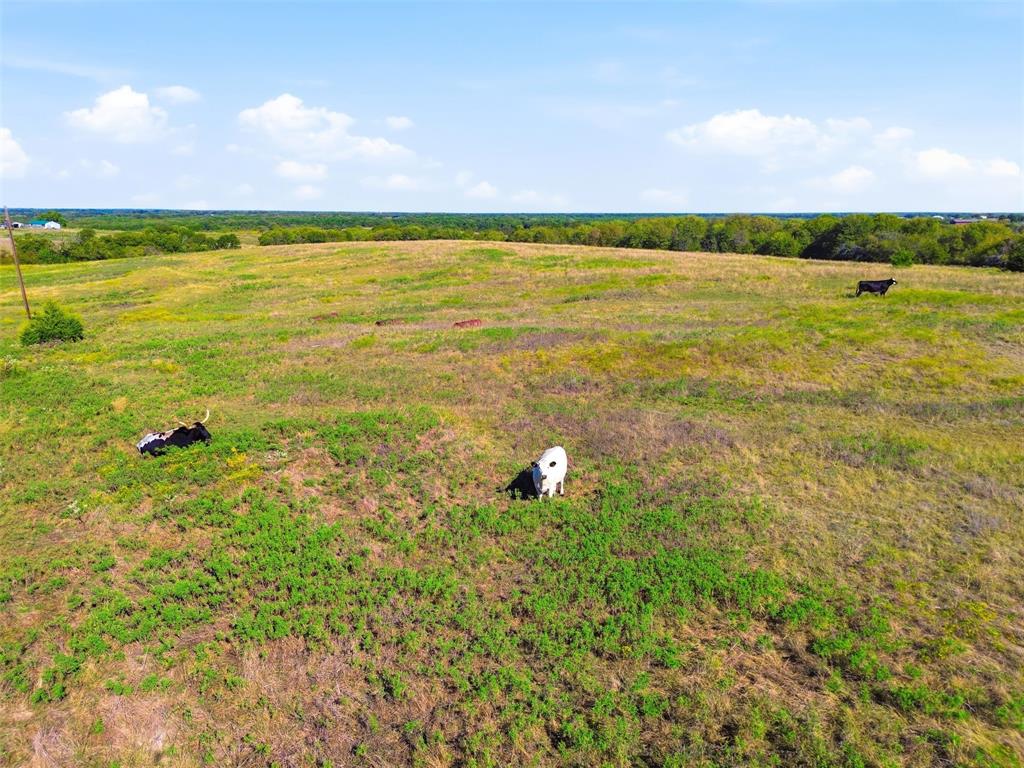 16947 TBA 01 County Road 617, Farmersville, TX 75442