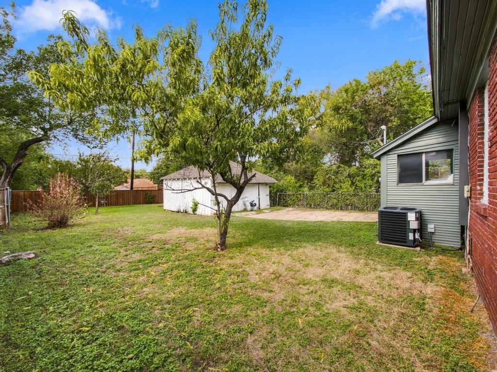 View of backyard