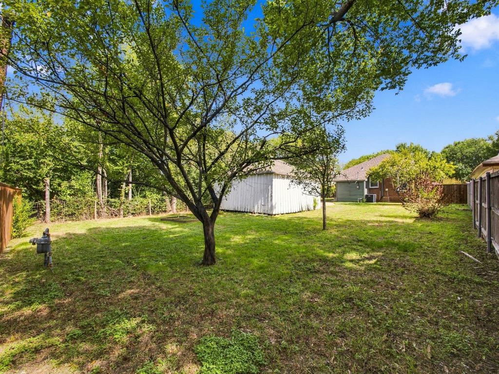 View of backyard