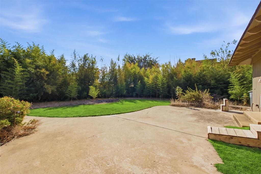 Rear exterior space featuring a concrete patio, wood-frame steps, and a perimeter of mature landscaping