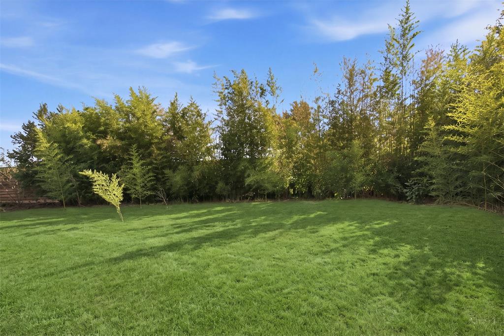 Expansive lawn bordered by mature trees