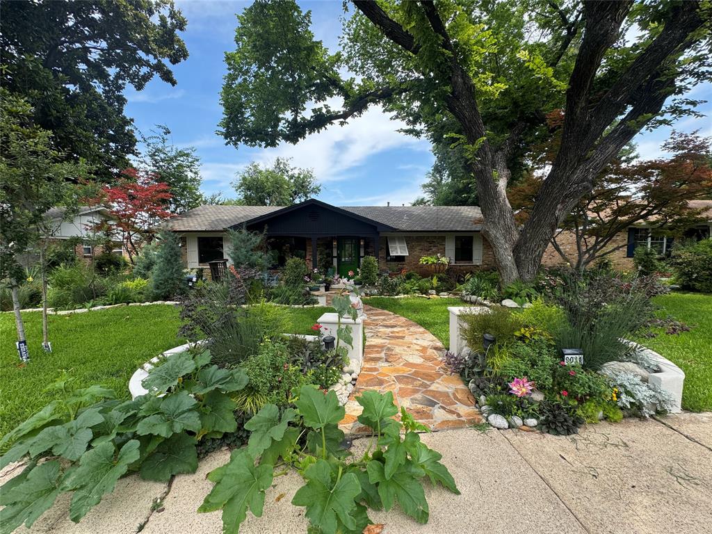 9011 Fringewood Drive, Dallas, TX 75228