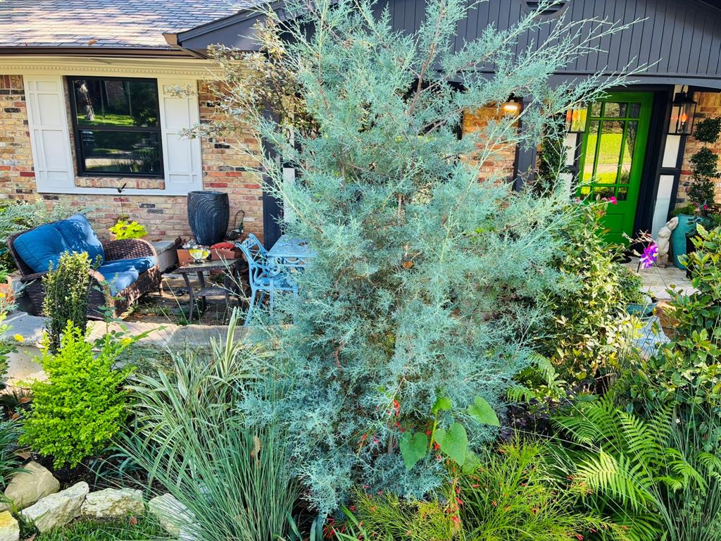 9011 Fringewood Drive, Dallas, TX 75228