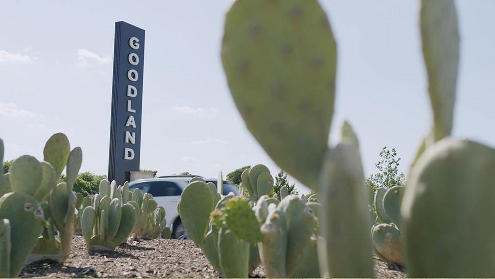 7334 Golden Daisy Avenue, Venus, TX 76084