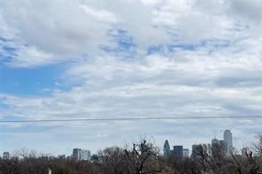 Elevated horizon featuring a skyline and mature tree canopy