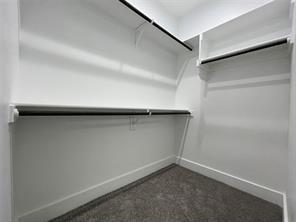 Walk-in closet featuring tiered shelving, built-in hanging rods, and carpeting