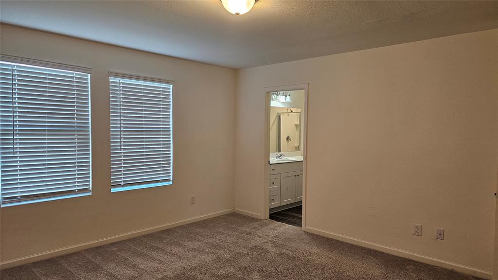 Neutral interior featuring wall-to-wall carpeting, dual windows with horizontal blinds, and a dome ceiling light fixture