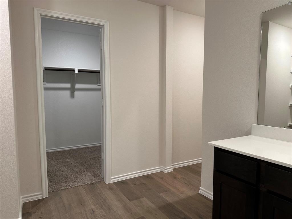 Bathroom featuring vanity, dark wood finished floors, and a spacious closet