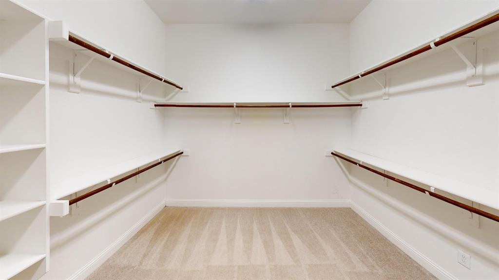Walk-in closet featuring white built-in shelving, wooden closet rods, and neutral carpeting