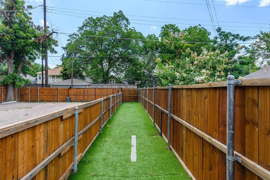 dog run