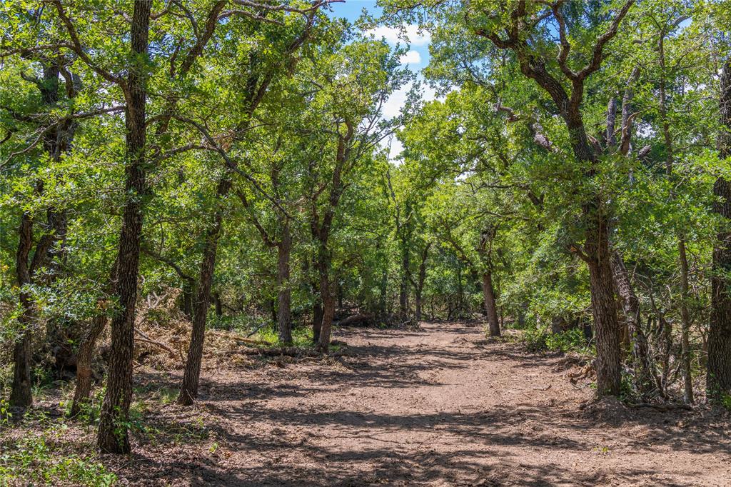 51.03 Acres Highway 16, De Leon, TX 76444
