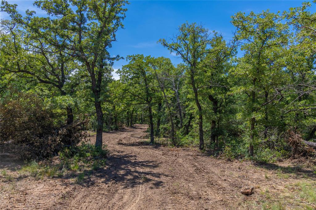 51.03 Acres Highway 16, De Leon, TX 76444